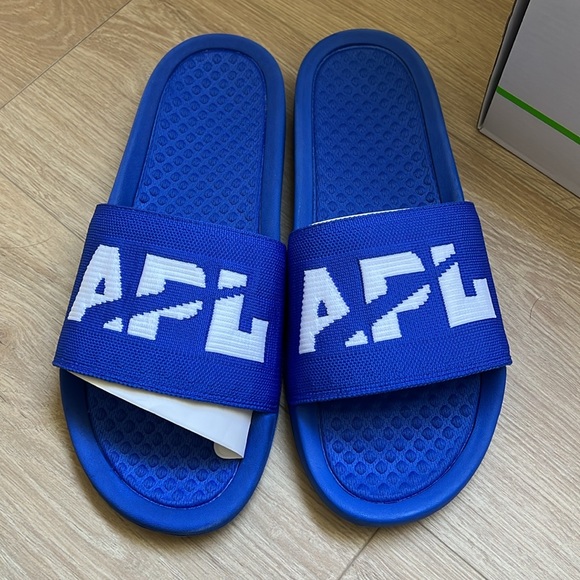 APL SLIDES - Picture 2 of 4